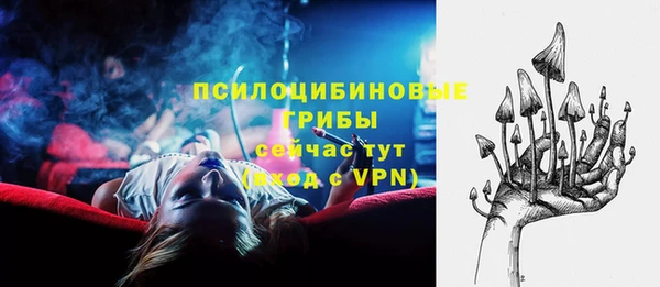 мет Арсеньев