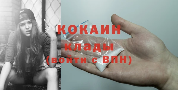мет Арсеньев