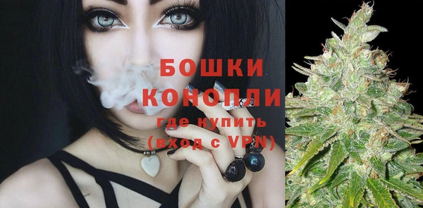 PSILOCYBIN Аркадак