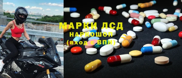 PSILOCYBIN Аркадак