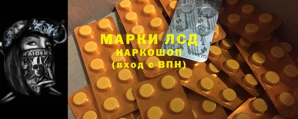 PSILOCYBIN Аркадак