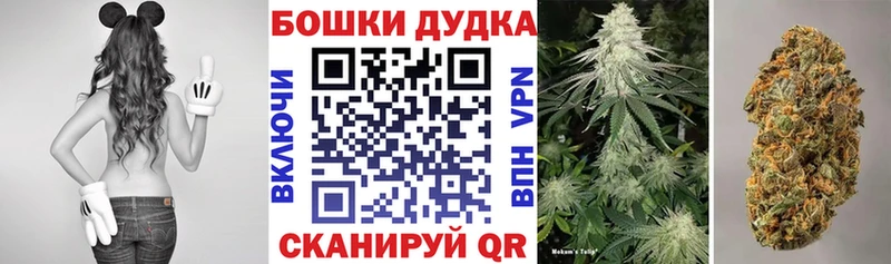 Бошки Шишки марихуана  Поронайск 